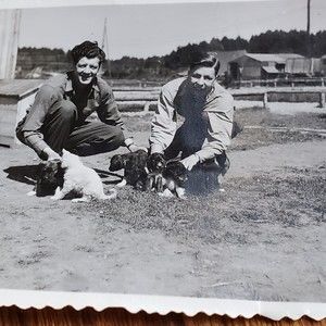Vintage War Time Photo Soldiers With Puppies & Kittens 3"x2.25" Deckled Edge B&W